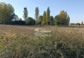Land suitable for development for sale on España, Abades, ref: TR120974 photo