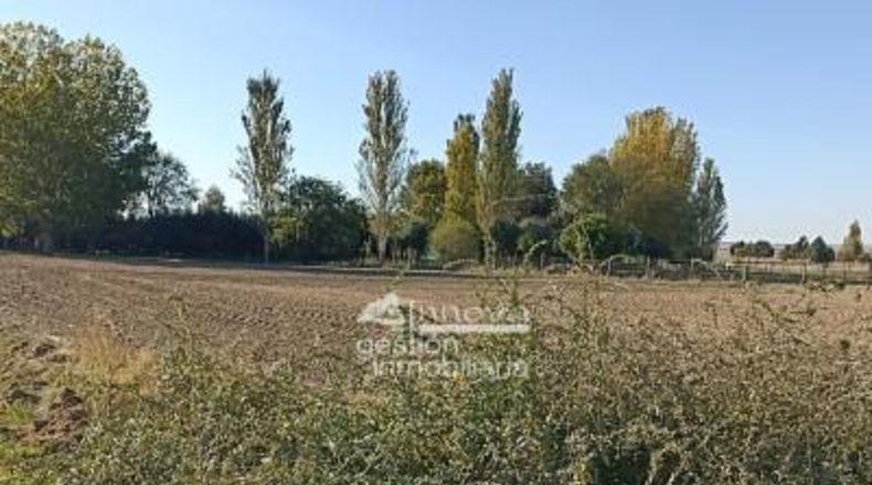 Segovia - Abades - 1668m2