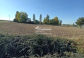 Land suitable for development for sale on España, Abades, ref: TR120974 photo