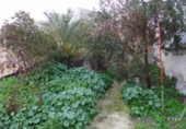 Casa de poble en venda a la España, Baena, ref.: TR296016 foto