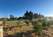 Terreny no urbanitzable en venda a la España, Los Barrios, ref.: TR360517 foto