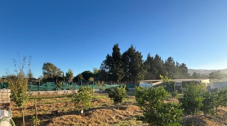 Cadiz - Лос-Барриос - 800m2