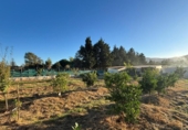Terreny no urbanitzable en venda a la España, Los Barrios, ref.: TR360517 foto