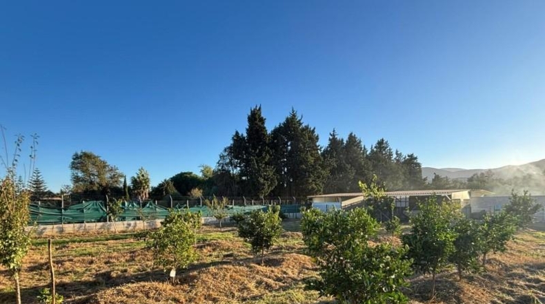 Cadiz - Лос-Барриос - 800m2