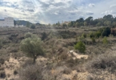 Non-developable land for sale on España, Monóvar, ref: TR221711 photo