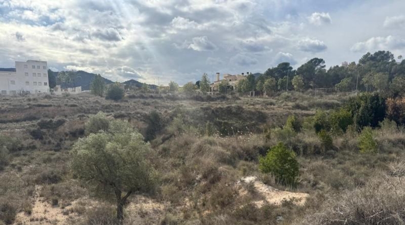 Alicante - Monóvar - 40040m2