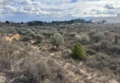 Non-developable land for sale on España, Monóvar, ref: TR221711 photo