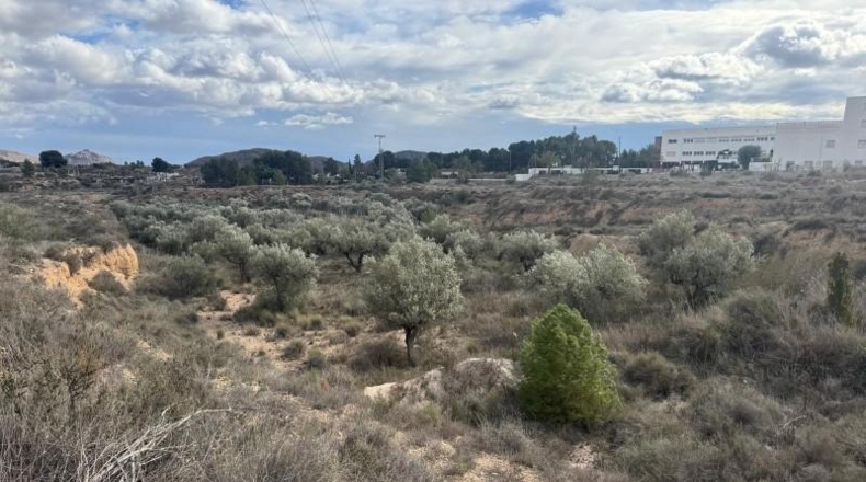 Alicante - Monóvar - 40040m2