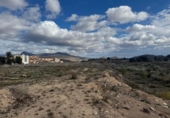 Non-developable land for sale on España, Monóvar, ref: TR221711 photo