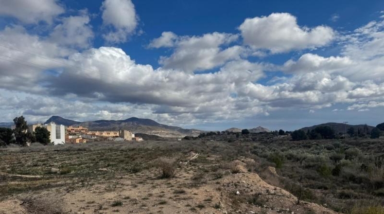 Alicante - Monóvar - 40040m2