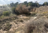 Non-developable land for sale on España, Monóvar, ref: TR221711 photo