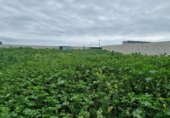 Parcela urbanizable en venta en la España, El Puerto de Santa María, ref: TR310457 foto