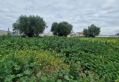 Parcela urbanizable en venta en la España, El Puerto de Santa María, ref: TR310457 foto