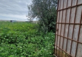 Parcela urbanizable en venta en la España, El Puerto de Santa María, ref: TR310457 foto