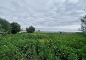 Parcela urbanizable en venta en la España, El Puerto de Santa María, ref: TR310457 foto