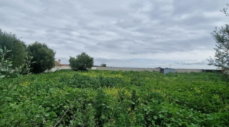 Cádiz - El Puerto de Santa María - 1000m2