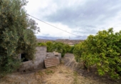 Terreny no urbanitzable en venda a la España, Rioja, ref.: TR313193 foto