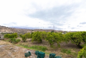 Rioja 5100&nbsp;m² 