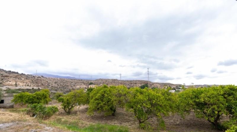 La Rioja - Castañares de Rioja - 5100m2