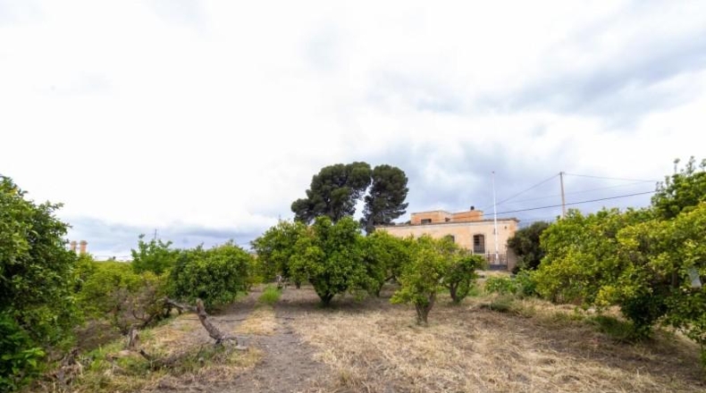 La Rioja - Castañares de Rioja - 5100m2