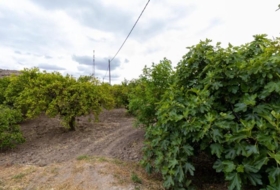 Rioja 5100&nbsp;m² 