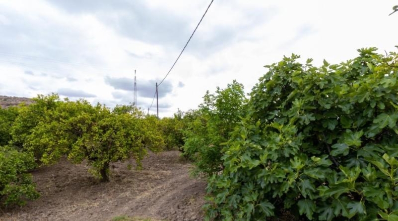 La Rioja - Castañares de Rioja - 5100m2