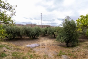Rioja 5100&nbsp;m² 