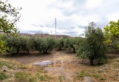 Terreny no urbanitzable en venda a la España, Rioja, ref.: TR313193 foto