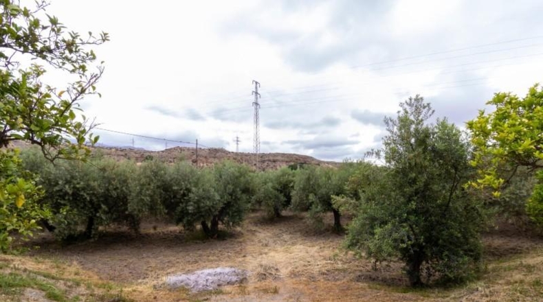 La Rioja - Castañares de Rioja - 5100m2