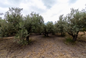 Rioja 5100&nbsp;m² 