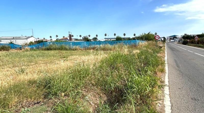 Seville - Guillena - 10000m2