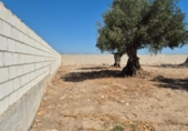 Terreny no urbanitzable en venda a la España, El Puerto de Santa María, ref.: TR318913 foto