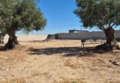 Terreny no urbanitzable en venda a la España, El Puerto de Santa María, ref.: TR318913 foto