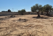 Terreny no urbanitzable en venda a la España, El Puerto de Santa María, ref.: TR318913 foto