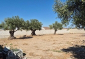 Terreny no urbanitzable en venda a la España, El Puerto de Santa María, ref.: TR318913 foto