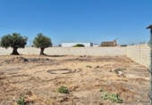 Terreny no urbanitzable en venda a la España, El Puerto de Santa María, ref.: TR318913 foto