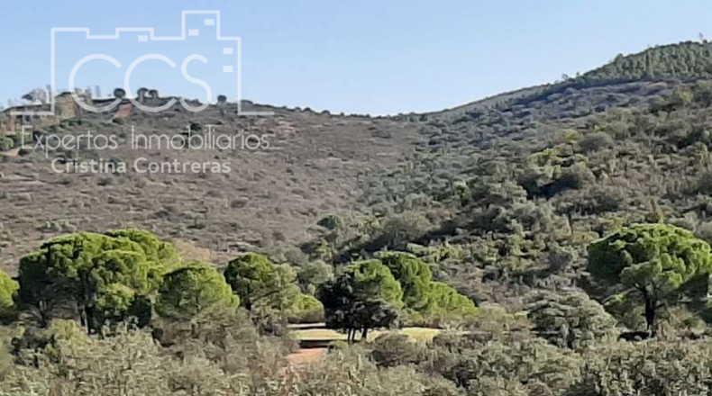 Seville - El Castillo de las Guardas - 60000m2