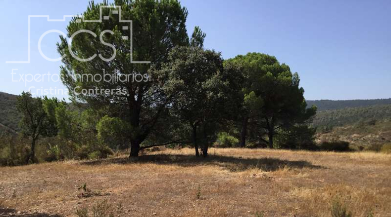 Seville - El Castillo de las Guardas - 60000m2