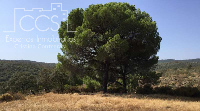Seville - El Castillo de las Guardas - 60000m2