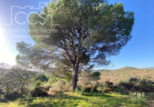 Terreny no urbanitzable en venda a la España, El Castillo de las Guardas, ref.: TR116875 foto
