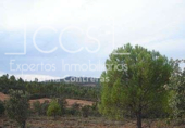 Terreny no urbanitzable en venda a la España, El Castillo de las Guardas, ref.: TR116875 foto