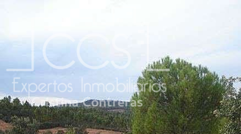 Seville - El Castillo de las Guardas - 60000m2