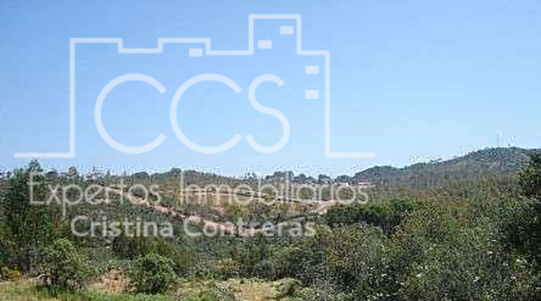 Seville - El Castillo de las Guardas - 60000m2