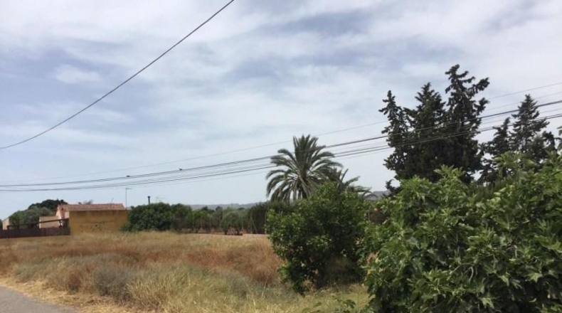 Murcia - Murcia - 1500m2