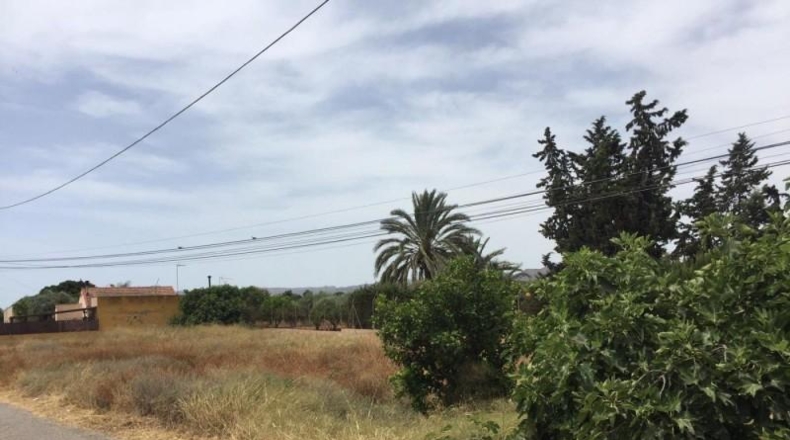 Murcia - Murcia - 1500m2