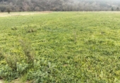 Land suitable for development for sale on España, Cabezón de la Sal, ref: TR383635 photo