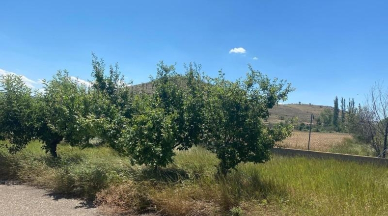 Teruel - Tornos - 287m2