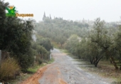 Chalet independiente con terreno en venta en la España, Peligros, ref: TR400939 foto