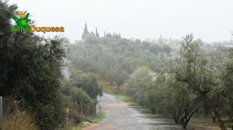 Granada - Peligros - 6298m2