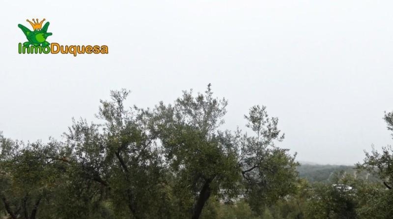 Granada - Peligros - 6298m2